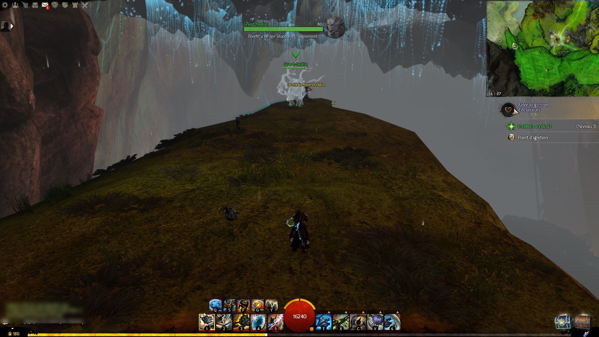 Druide grandfeuille compressed