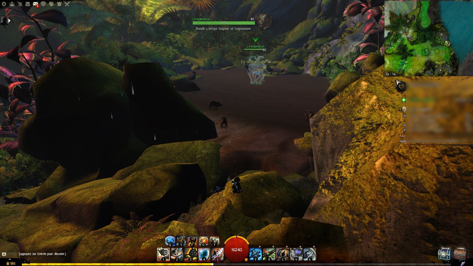 Druide liriodendron compressed