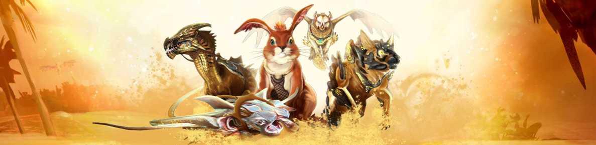 Un message de Mike O'Brien concernant les montures