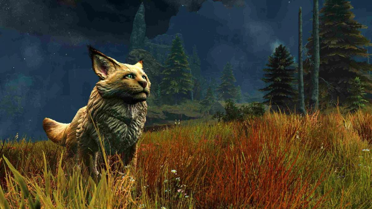 Razziafelis et Exploration dans Janthir Wilds