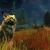 Razziafelis et Exploration dans Janthir Wilds