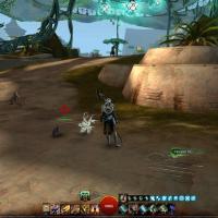 Emplacement d'un chat caché à l'arche