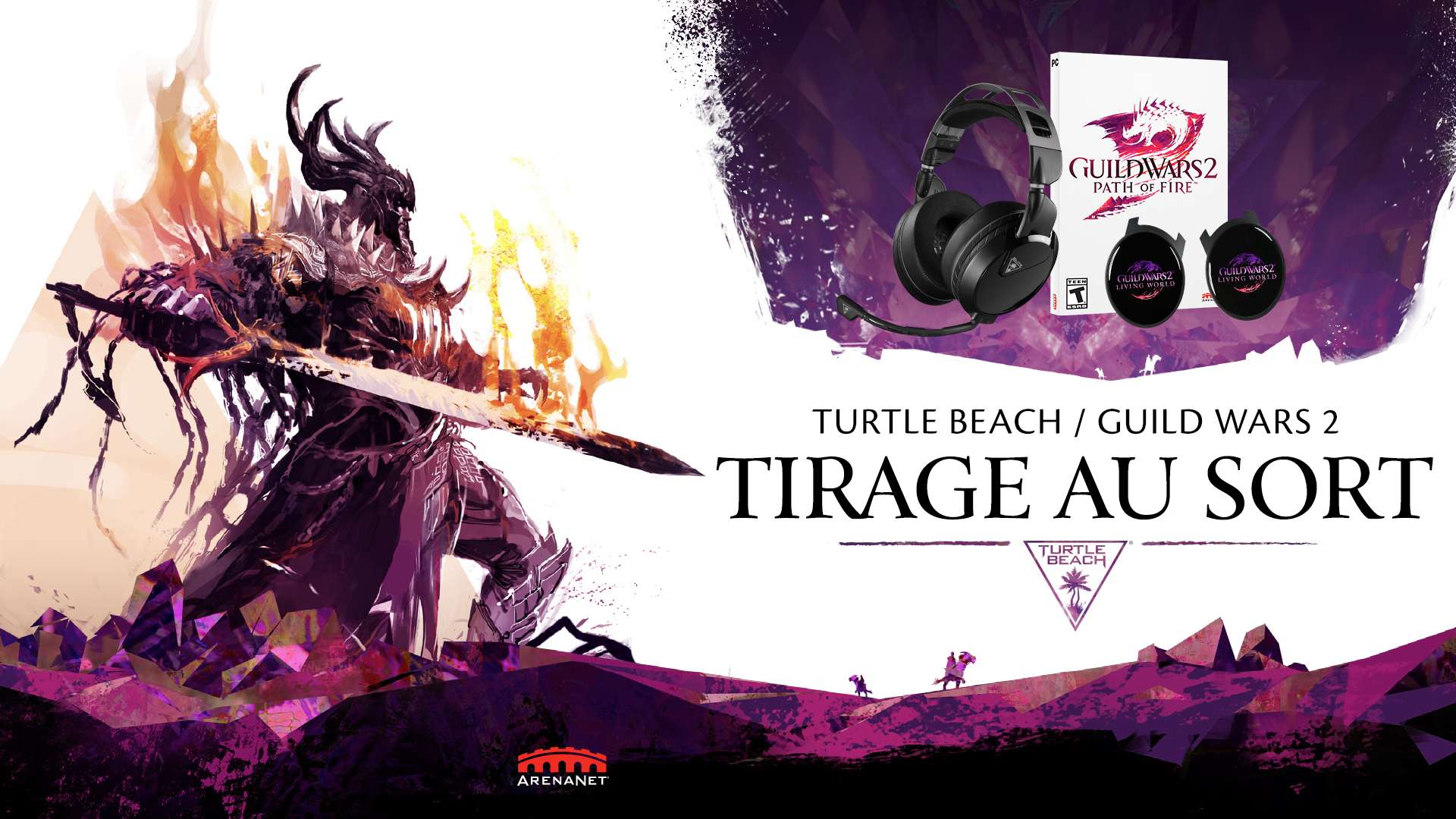 Concours turtle beach