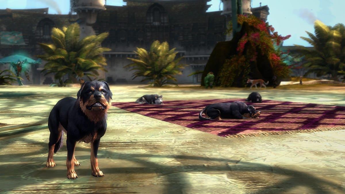 1er avril 2022 : Une vie de chien !