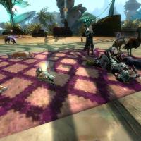 Où dormir avec les chiens