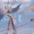 Notes de version : mardi 30 juillet 2019