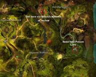 Gw2 auric basin insight burnisher quarry