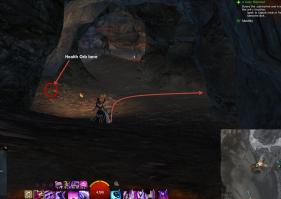 gw2-bear-lope-guild-rush-5.jpg