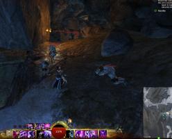 gw2-bear-lope-guild-rush-8.jpg