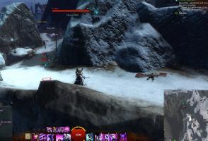 gw2-bear-lope-guild-rush-9.jpg