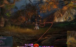 gw2-chicken-run-guild-rush-3.jpg