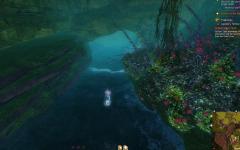 Gw2 guano incubed spider eggs hero point tangled depths 4