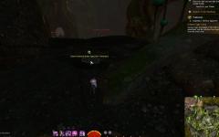Gw2 guano incubed spider eggs hero point tangled depths
