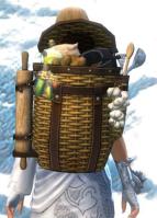 Gw2 hearty chefs backpack