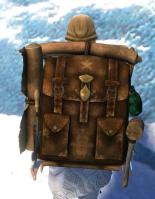 Gw2 intricate leatherworkers backpack 2