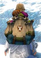 Gw2 intricate tailors backpack 2
