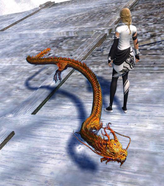 Sécuriser son compte : Mini Dragon Mystique