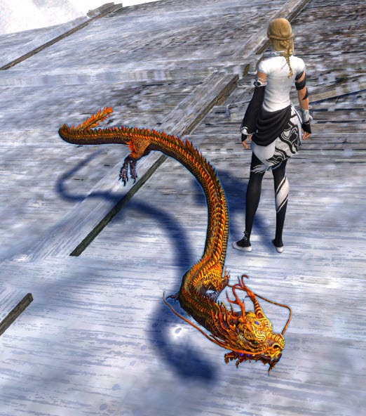 Sécuriser son compte : Mini Dragon Mystique