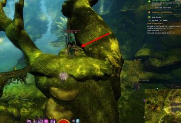 Gw2 no masks left behind achievement guide bristleback chasm 3