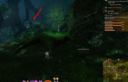 Gw2 no masks left behind achievement guide chak hollow 4