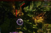 Gw2 no masks left behind achievement guide morwood wilds 4