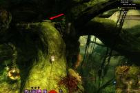 Gw2 no masks left behind achievement guide morwood wilds 51