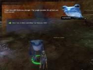 Gw2 now thats a fungus achievement 2