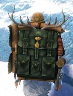 Gw2 ornate leatherworkers backpack