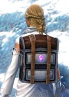 Gw2 practical jewelers backpack