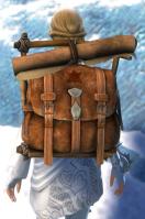 Gw2 practical leatherworkers backpack