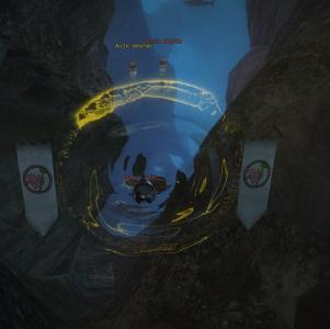 gw2-quaggan-paddle-guild-rush-2.jpg