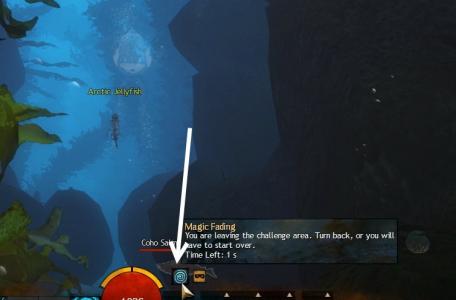 gw2-quaggan-paddle-guild-rush-5.jpg