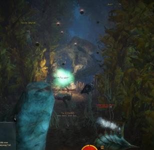 gw2-quaggan-paddle-guild-rush-6.jpg