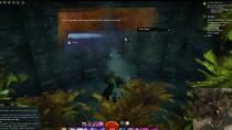 Gw2 rhand blessed plant food 4