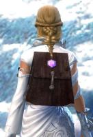 Gw2 simple jewelers backpack