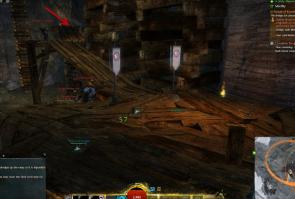 gw2-spider-scurry-guild-rush-5.jpg