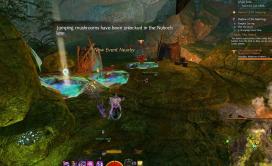 Gw2 tangled depths insight order of whispers outpost 3