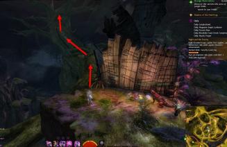 Gw2 verdant brinks insight thistlevine ravine