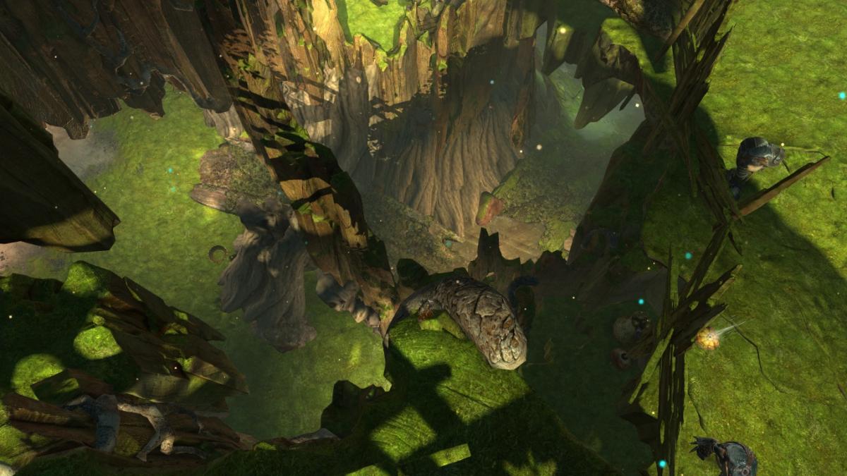 Mais qui sont les joueurs de Guild Wars 2 ?