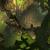 Mais qui sont les joueurs de Guild Wars 2 ?