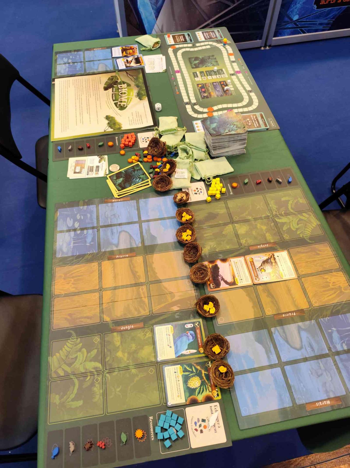 Img 20241004 101611 compressed