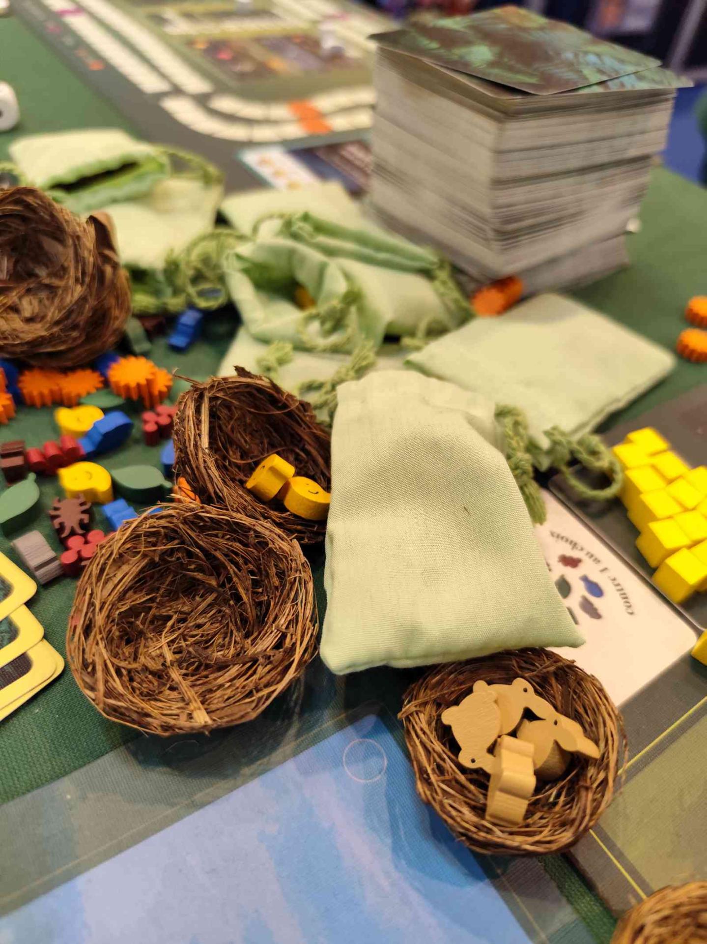 Img 20241004 101619 compressed