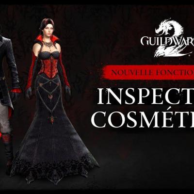 Inspection cosmetique