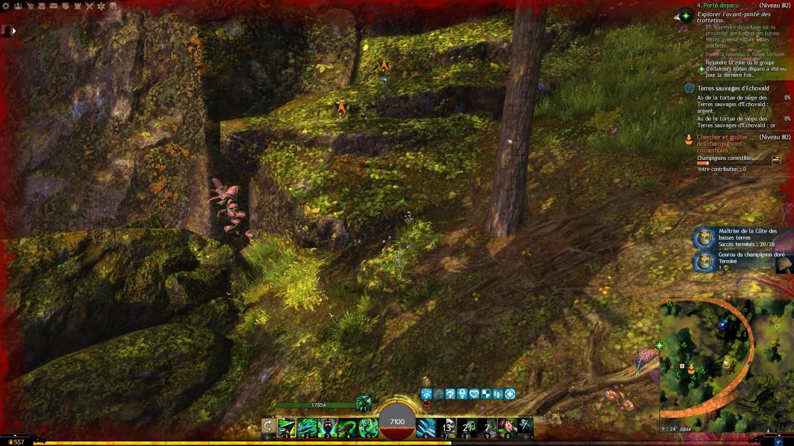 Jwbtgourouchampignondoree compressed