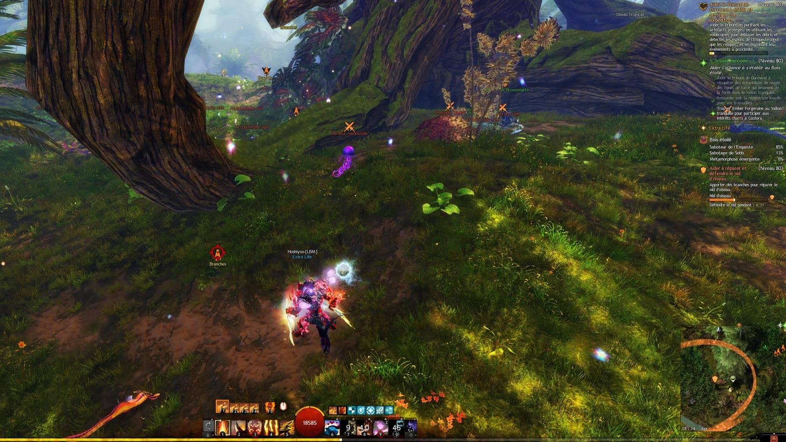 Meneur de front 6 2 compressed