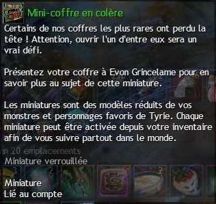 Mini coffreencolere