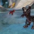 Mini petits dracailles