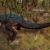 Stress-test /Beta HoT : informations diverses