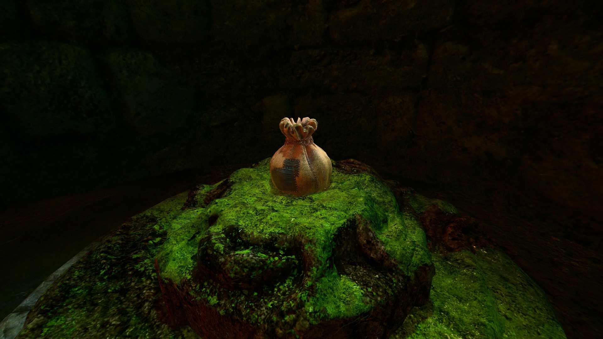 Recif de la sirene sac de butin