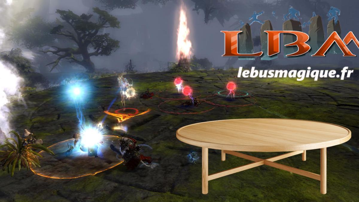 Table ronde sur les raids